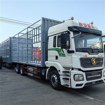 Leantóir Sraithe Rannán Lártheifeacha a Dó