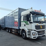 Leantóir Sraithe Rannán Lártheifeacha a Dó